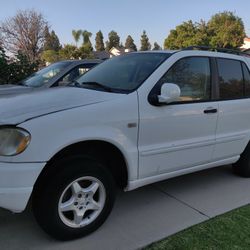 2001 Mercedes-Benz M-Class
