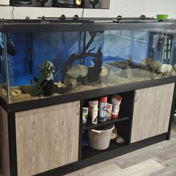 Fish Tank