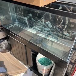 55 Gallon Fish Tank