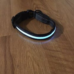 New Lighted Dog Collar