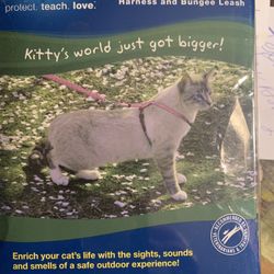 Cat Harness Leash 🐈🐈‍⬛