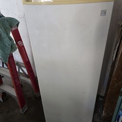 Upright Freezer 