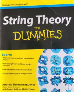 String Theory For Dummies Book