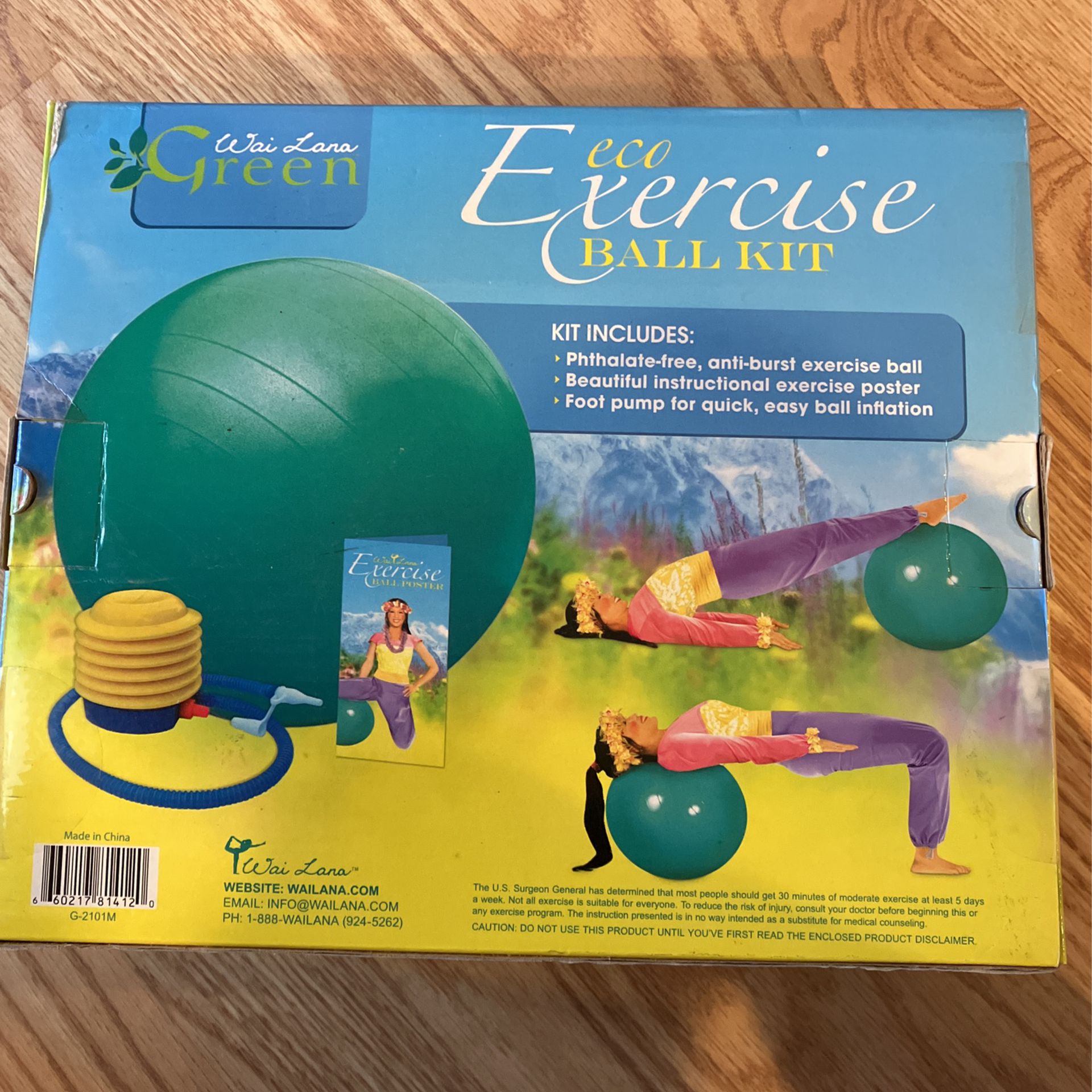 Exercise Ball Kit 