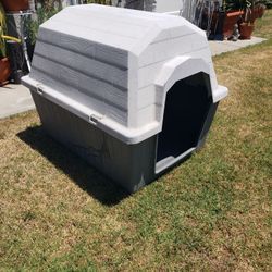 Dog House 