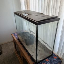35 Gallon Fish Tank / Aquarium
