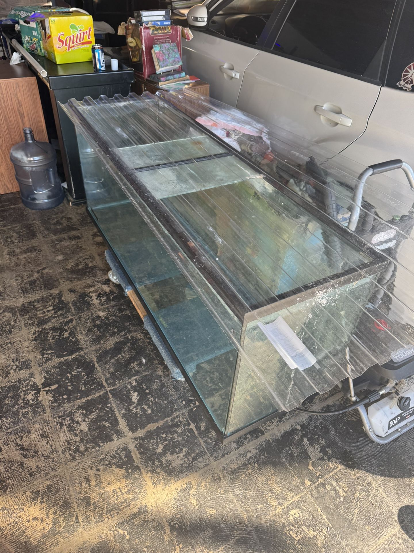 100 Gallon Fish Tank