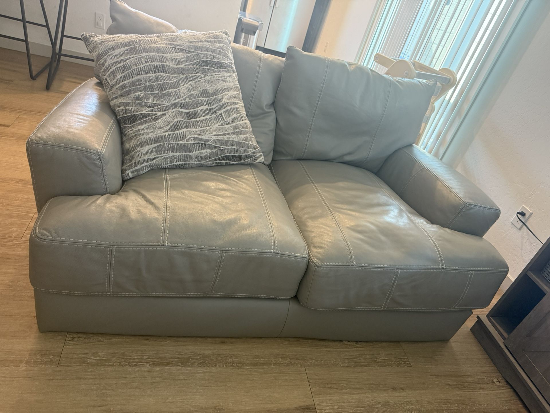 Two Leather Couches