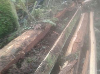 Cedar Split Rail Fence Posts and Rails **$15/ea