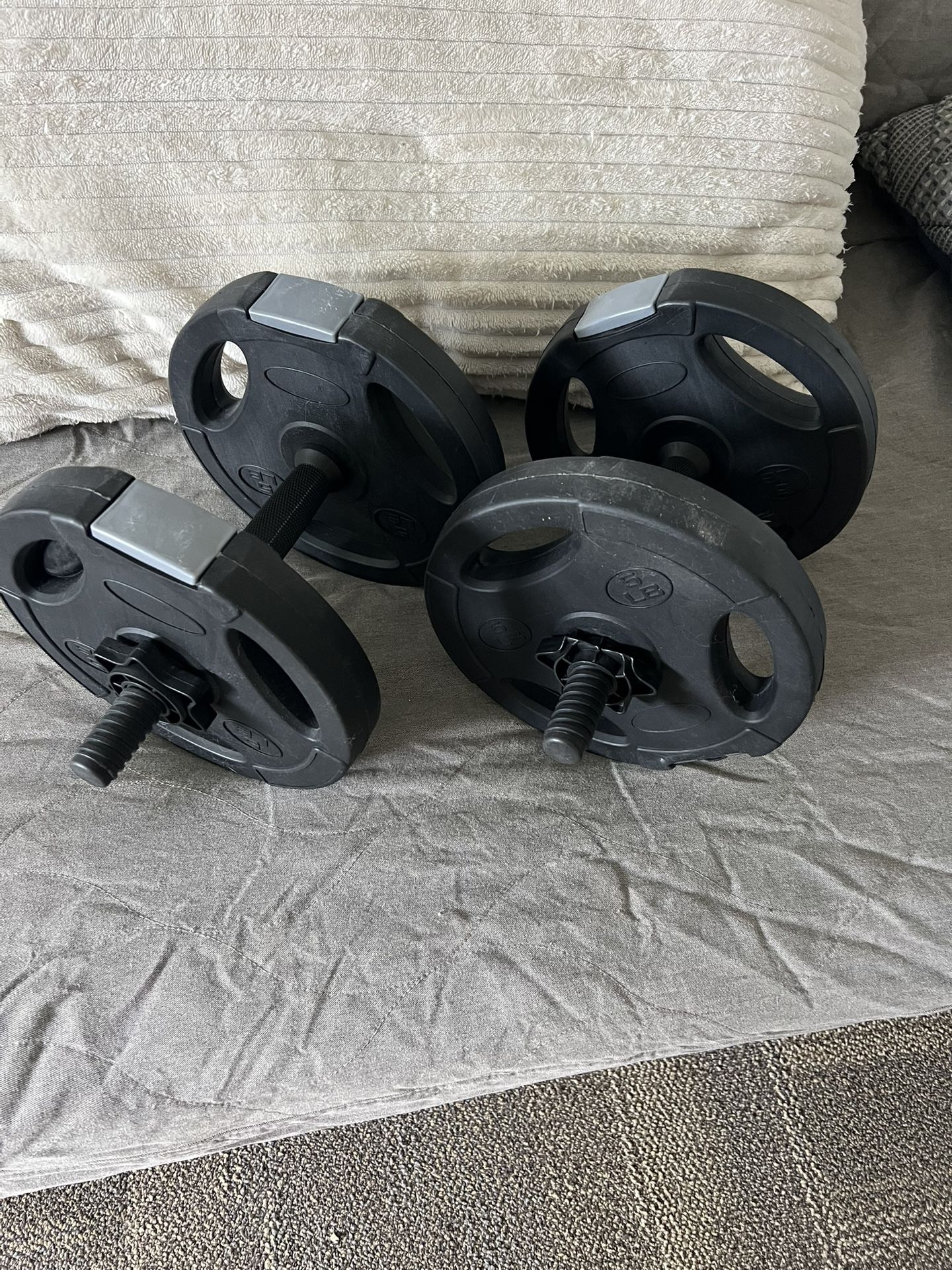 Two Ten Pound Weights