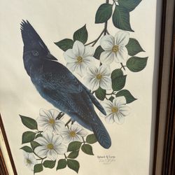 Richard G. Lowe Blue jay Art