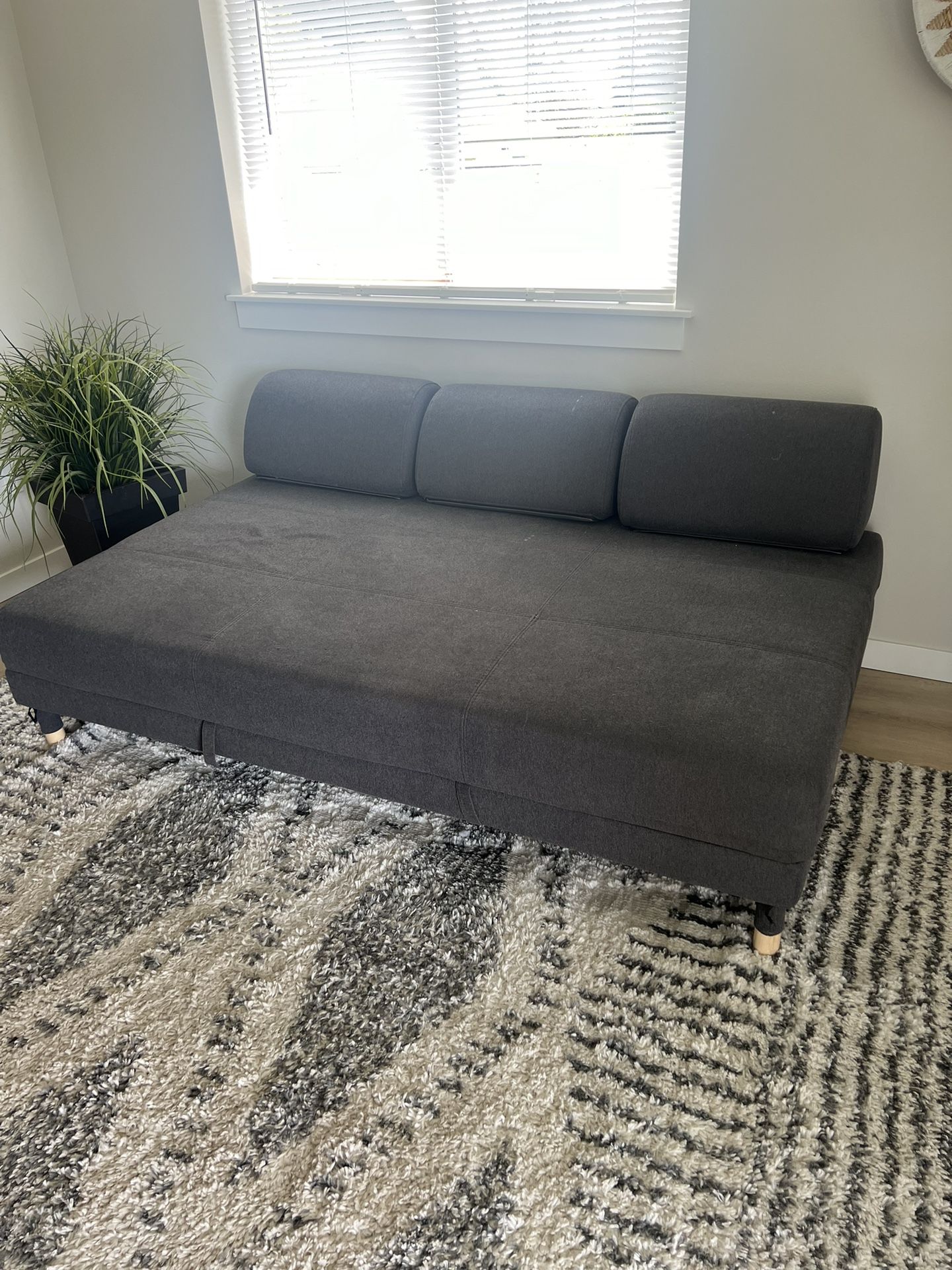 Guest Room Couch/Bed