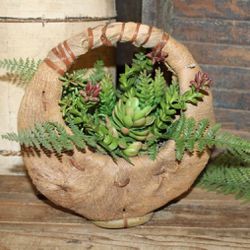 NEW BOHO Farmhouse Half Moon Coco Basket Succulent & Fern Arrangement