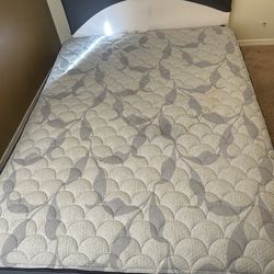 Need Gone ASAP $50 Queen Serta Perfect Sleeper In Brand New Condition & “Full Size Style Headboard”