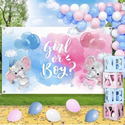 Gender Reveal Kit 