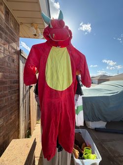 2t/3t Dragon costume