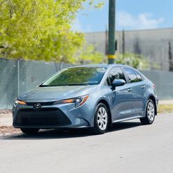 Corolla LE 2024