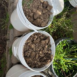 Free top soil for gardening