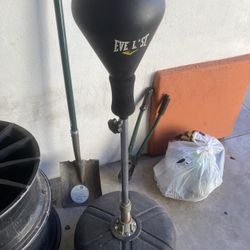 Everlast Boxing Ball 