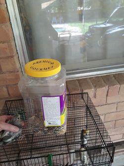 Listo para domesticar