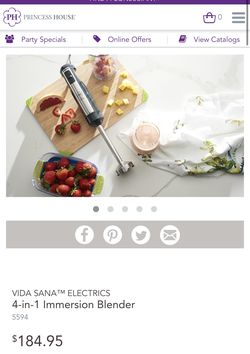 Immersion Blender