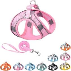 Harness for small pet