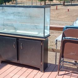 70 Gallon Fish Tank With Everything 