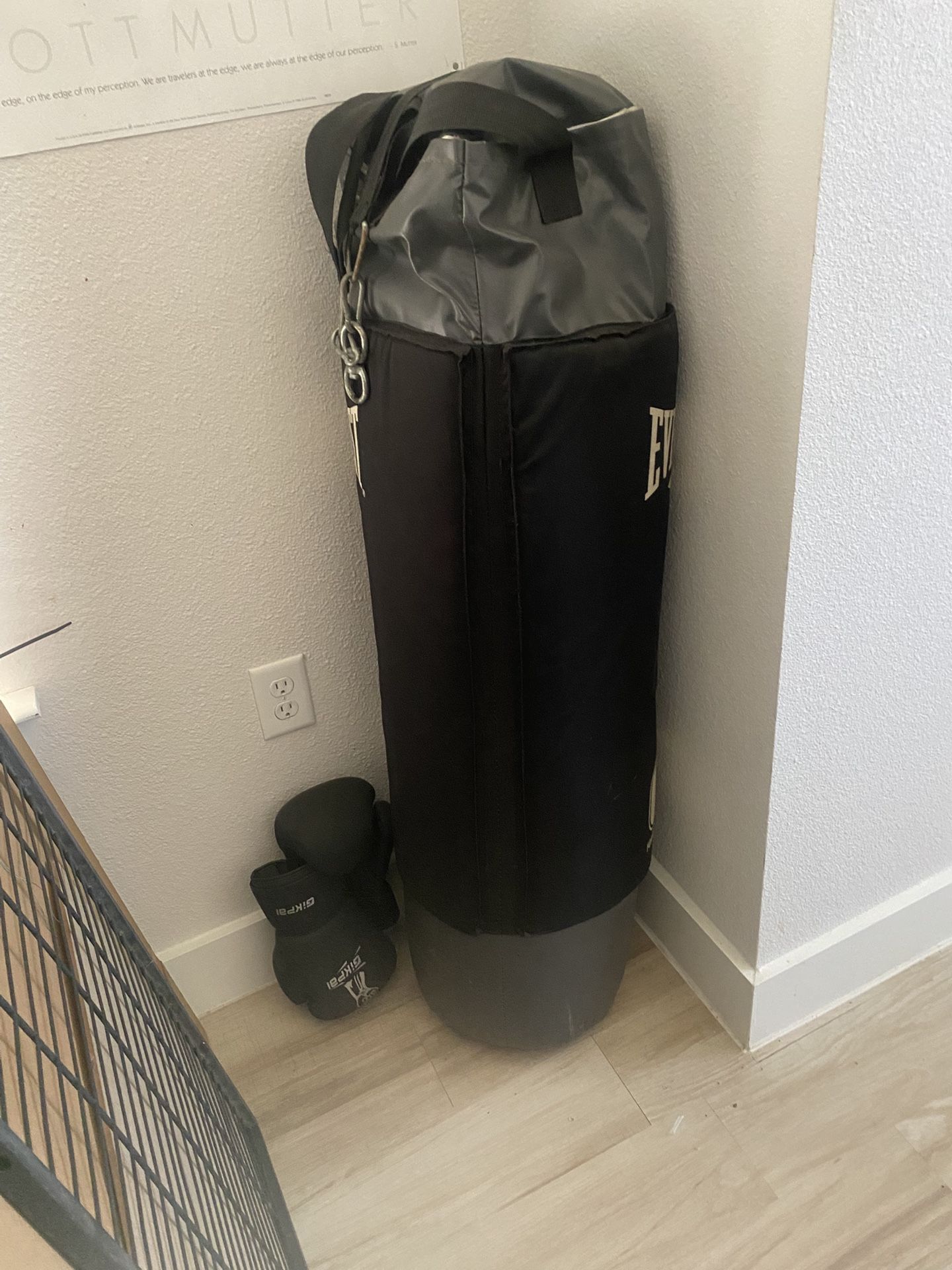 Punching Bag W/gloves
