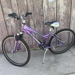Bicycle Purple Schwinn 