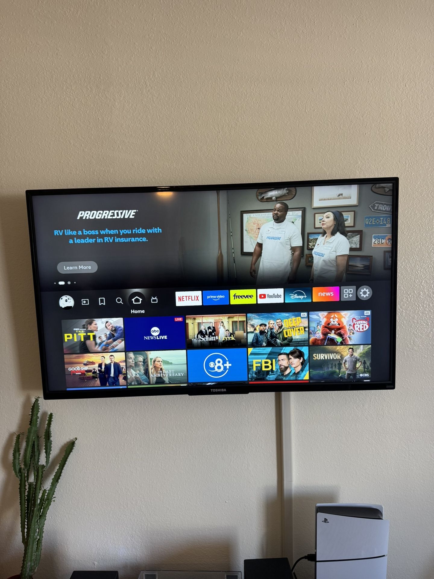 50 Inch TV