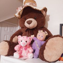 Big Size Teddy Bear $20
