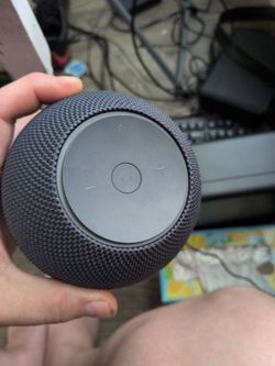 Echo dot max fifth generation
