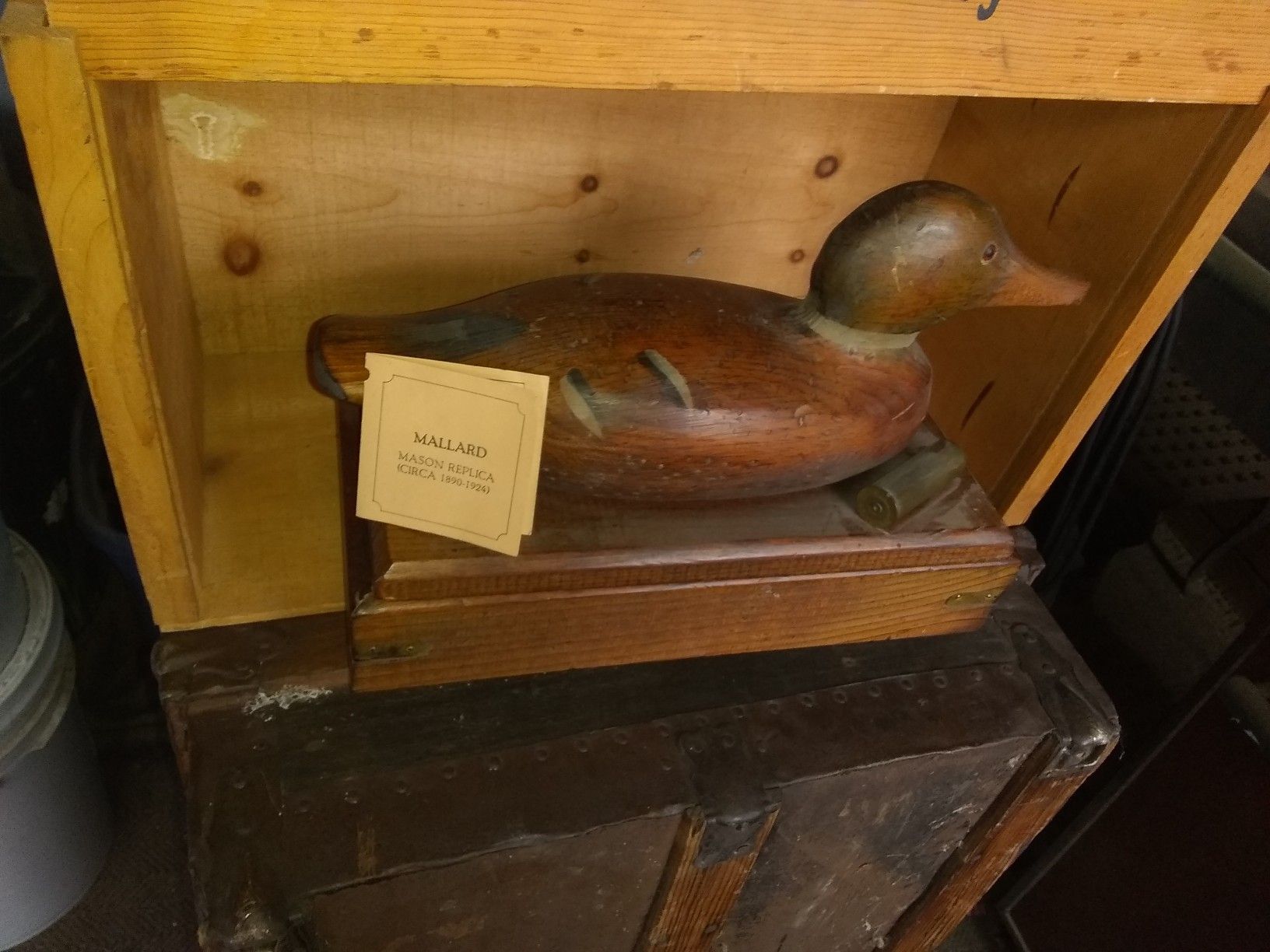 Mason decoy