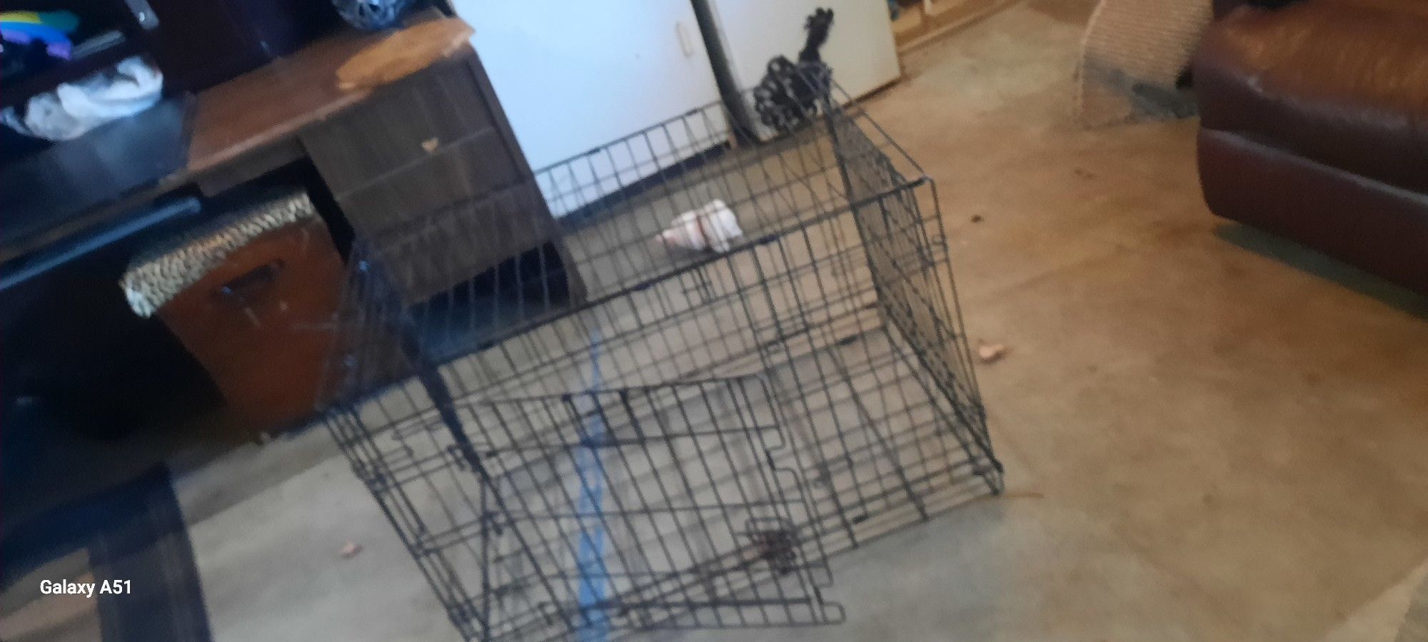 2 Kennels 1 Thirty Six In. And 1 Seventeen In.