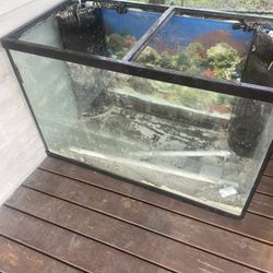150 Gallon Tank Aquarium