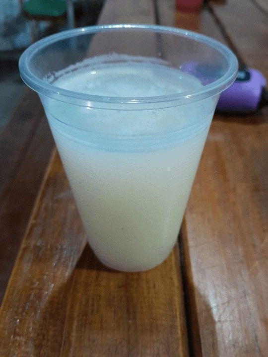 Rico Pulquesito Manjar De Los dioese