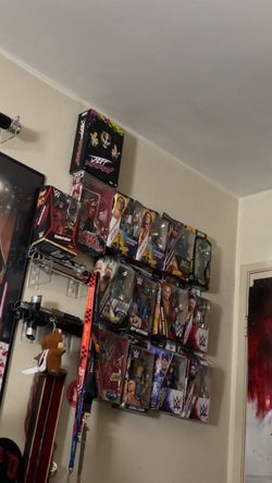 WWE figure collection read description