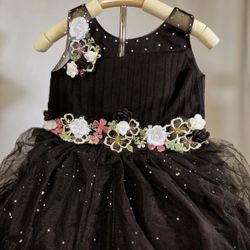 Black Beautiful Party Wear Elegant Dress Awailable In All Sizes