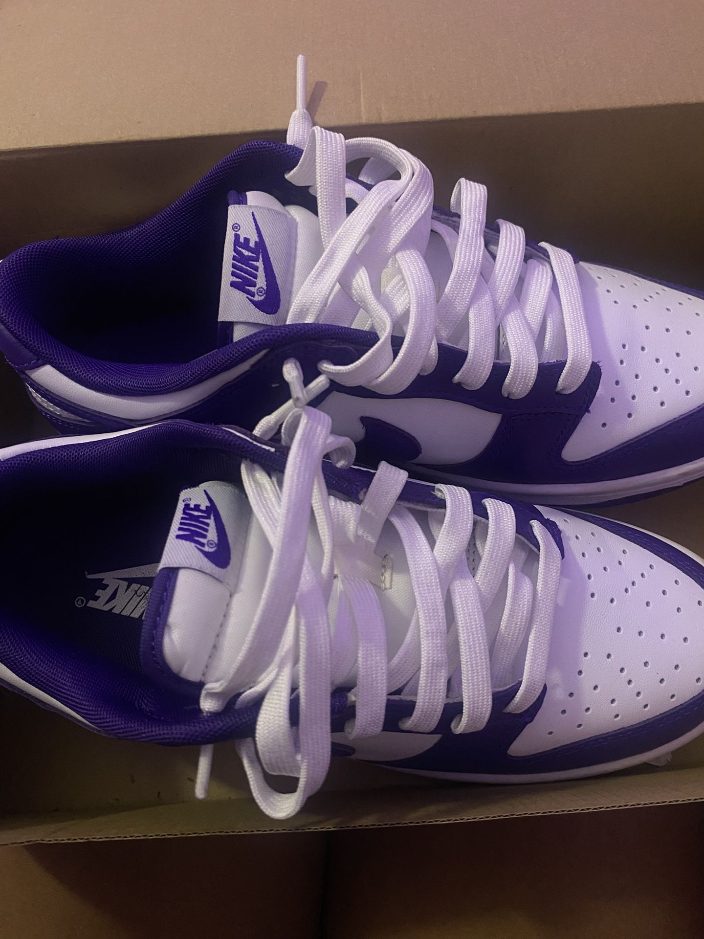 Nike Dunk Low Retro (Purple)