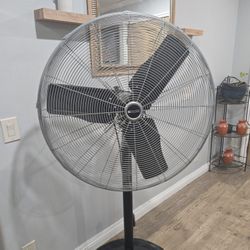 Fan