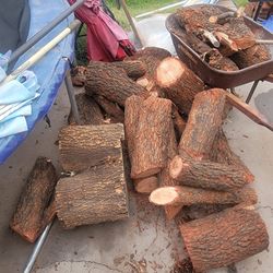 Burning Wood