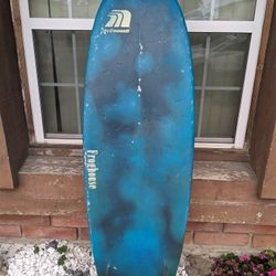 6'0 Fish Surfboard Froghouse