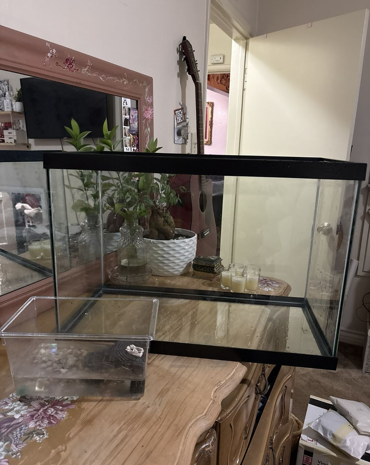 20 gallon fish tank