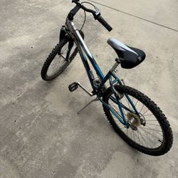 Schwinn Ridge AL Bike 