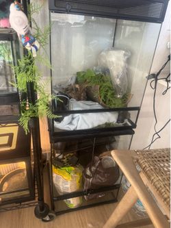18x18x24 single door reptile cage