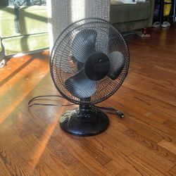 Fan 