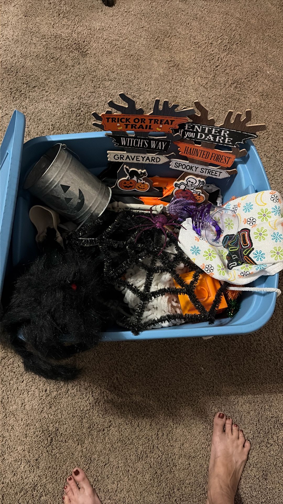 Tote Filled With Halloween Decorations