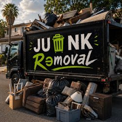 _ Junk $ Removed $