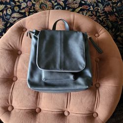 Brown Leather INC backpack Purse