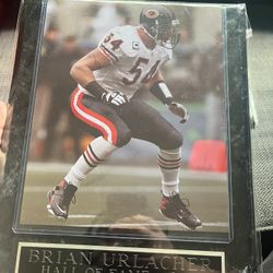 Brian Urlacher Poster Board 